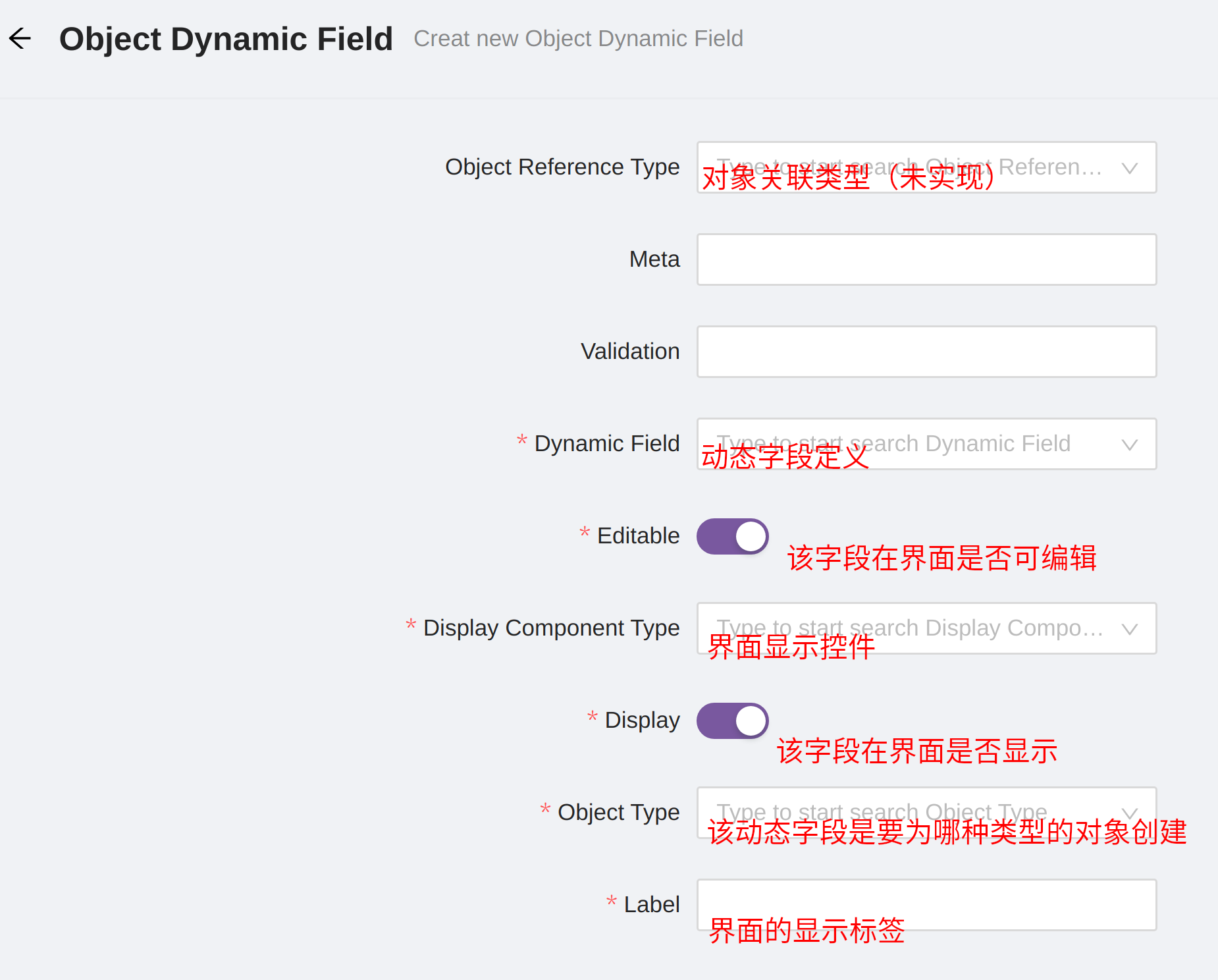 Create Object Dynamic Field